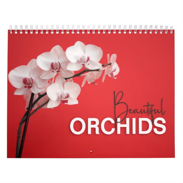 Schöne Orchideen mit Anmerkungen zum Wall-Kalender Kalender (Titelbild)