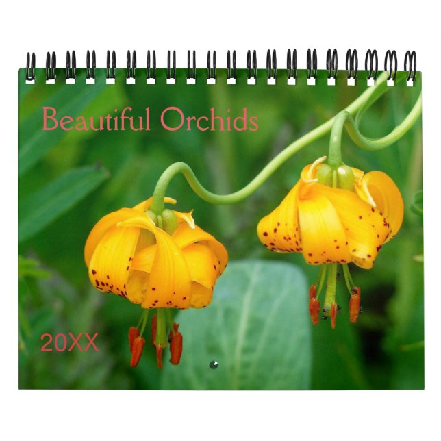 Schöne Orchideen Naturfotografie Kalender (Titelbild)