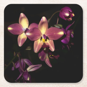 Schöne Orchideen Rechteckiger Pappuntersetzer