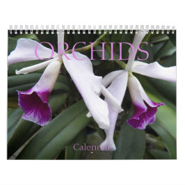 Schöne Orchids florale fotografisch Kalender