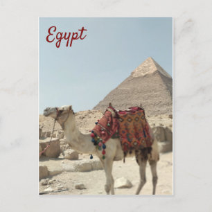 Schöne orientalische, Pyramiden Camel Ägypten Post Postkarte