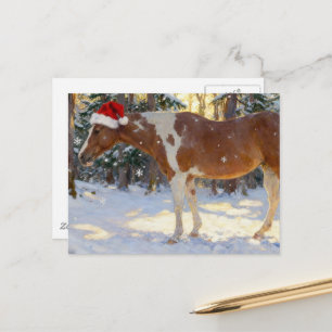 Schöne Paint Horse Stute Weihnachten Postkarte