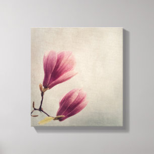 Schöne Pastel Magnolia Blume Leinwanddruck