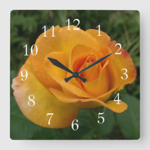 Schöne Peach-Rose Quadratische Wanduhr