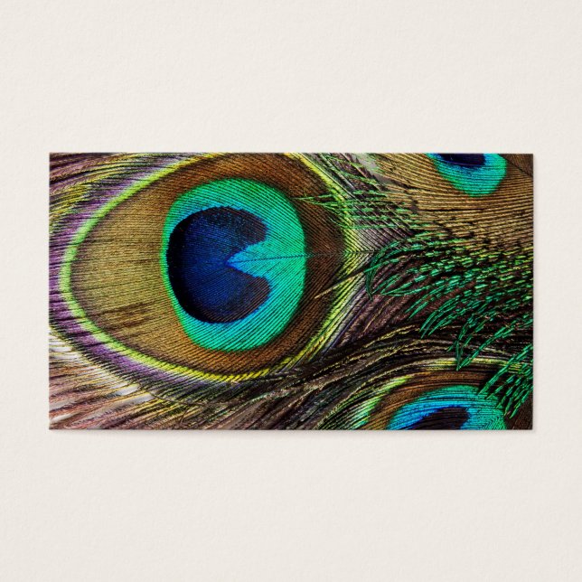 Schöne Peacock Feathers (Vorderseite)