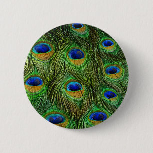 Schöne Peacock Feathers Button