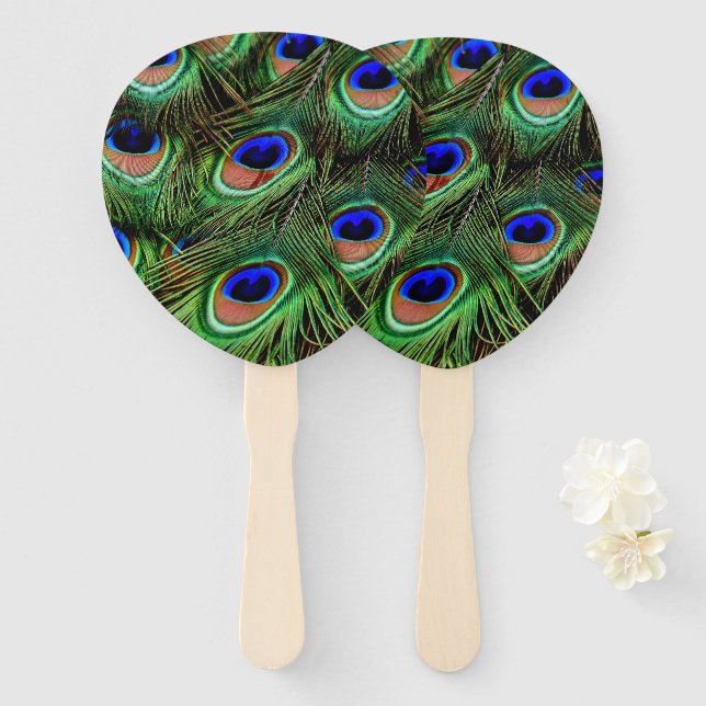 Schöne Peacock Feathers Fächer (Vorne und Hinten)