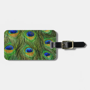 Schöne Peacock Feathers Gepäckanhänger