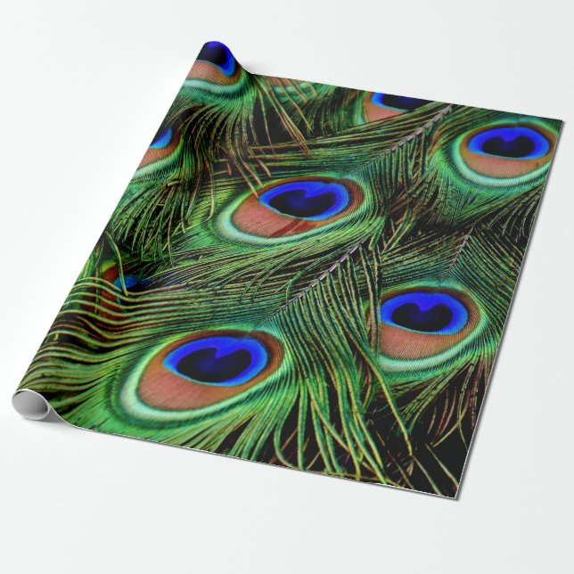 Schöne Peacock Feathers Geschenkpapier (Ungerollt)