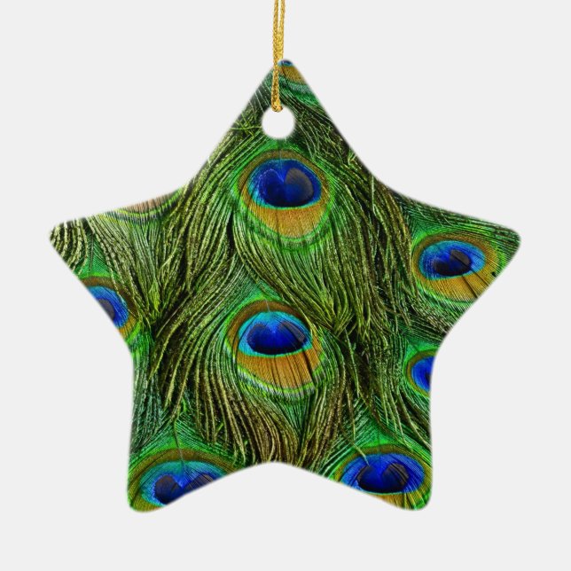 Schöne Peacock Feathers Keramikornament (Vorne)