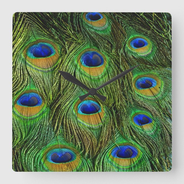 Schöne Peacock Feathers Quadratische Wanduhr (Vorderseite)