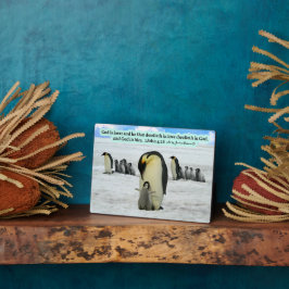 Schöne Penguin Scripture Plaque 1 John 4:16 Fotoplatte