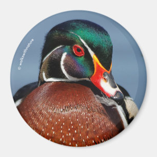 Schöne Pensive Holzente im Marsch Magnet