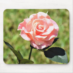 Schöne, perfekt rosa Rose Blume Mousepad