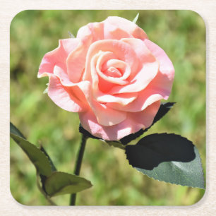 Schöne, perfekt rosa Rose Blume Rechteckiger Pappuntersetzer