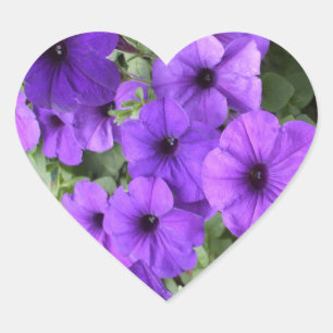 Schöne Petunias Herz-Aufkleber