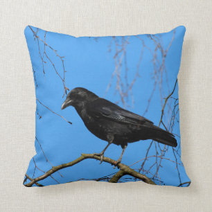 Schöne Pfanne auf Perch in einem Baumwurzelkissen Kissen