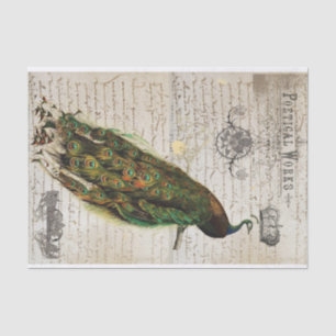 Schöne Pfau-Eintagsfliege-Collage Seidenpapier