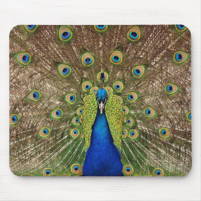 Schöne Pfau und Federn drucken Mousepad (Vorne)