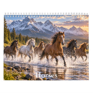 Schöne Pferde Landschaftspferde-Kalender Kalender