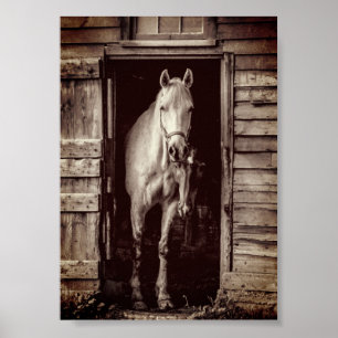 Schöne Pferde Rustic Brown Barn Poster