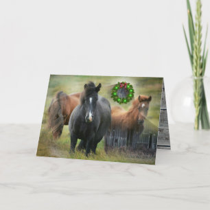 Schöne Pferde und rustikale Scheune Weihnachten