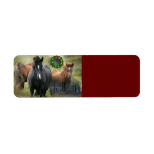 Schöne Pferde und Rustikale Weihnachten im Stall