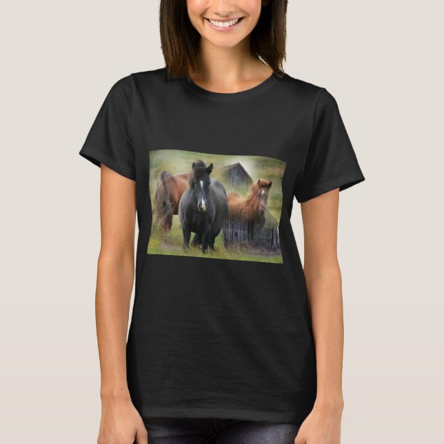 Schöne Pferde und rustikaler Stall T-Shirt (Vorderseite)