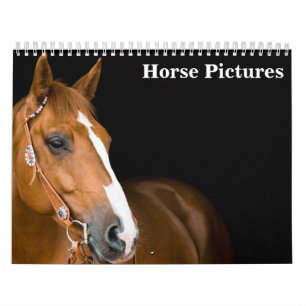 Schöne Pferdebilder Bilder 2027 Kalender