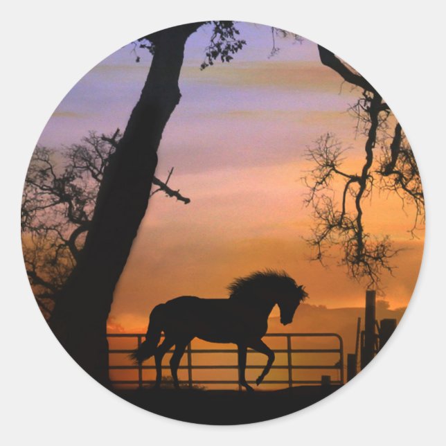 Schöne Pferdekleber Runder Aufkleber (Vorderseite)