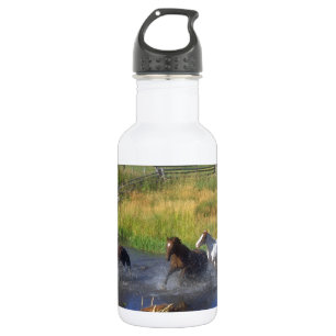 Schöne Pferderanch-Schicksals-Natur Trinkflasche