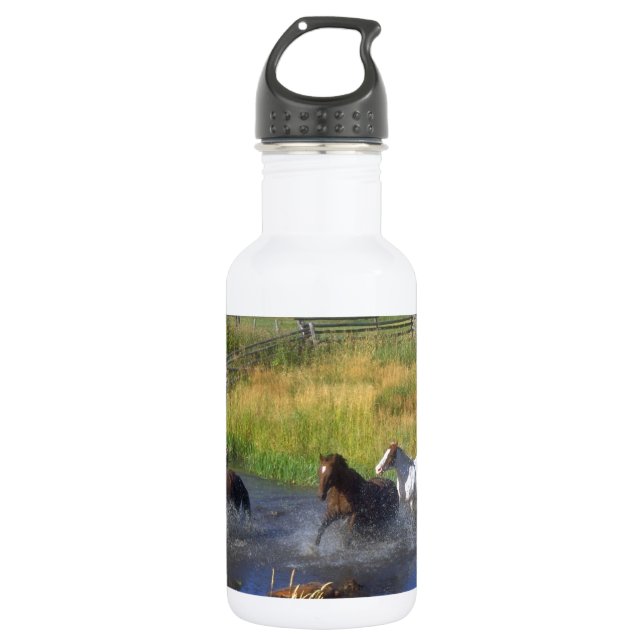 Schöne Pferderanch-Schicksals-Natur Trinkflasche (Vorderseite)