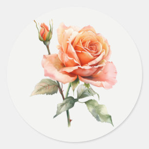 Schöne Pfirsich-Rosengarten-Blumen-Blumenkunst Runder Aufkleber