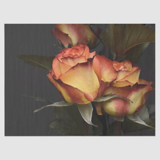 Schöne Pfirsich und rostfarbene Pedale auf der Ros Seidenpapier (Vorderseite)