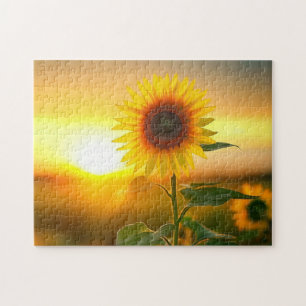 schöne Pflanze Blume Sonnenblume bei Sonnenunterga Puzzle