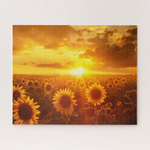 schöne Pflanze Blume Sonnenblume bei Sonnenunterga Puzzle