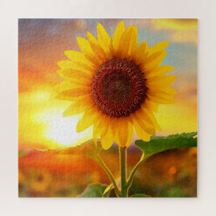 schöne Pflanze Blume Sonnenblume bei Sonnenunterga Puzzle