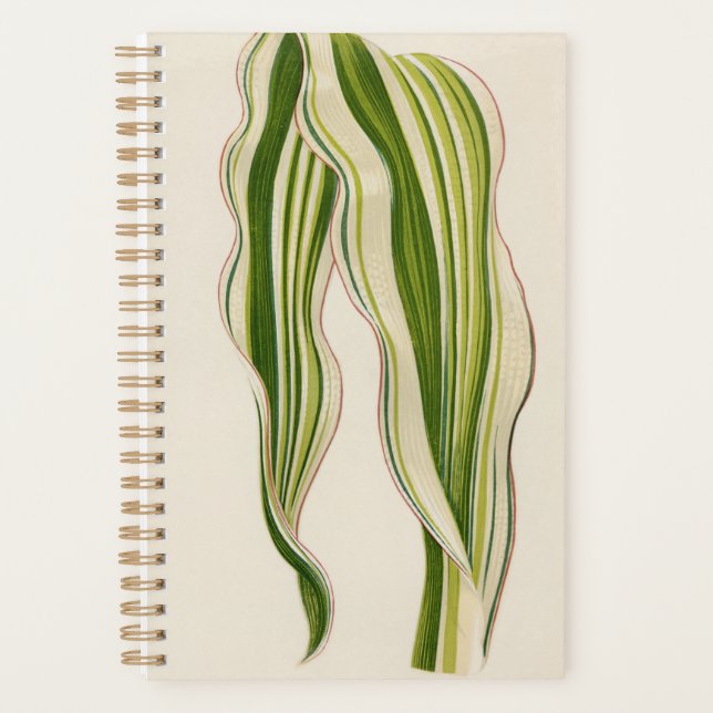 Schöne Pflanze Gärtner Sondergeschenk Planer (Vorderseite)