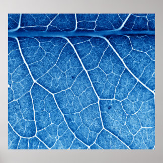 Schöne Pflanze schließen Textur Hintergrund Poster