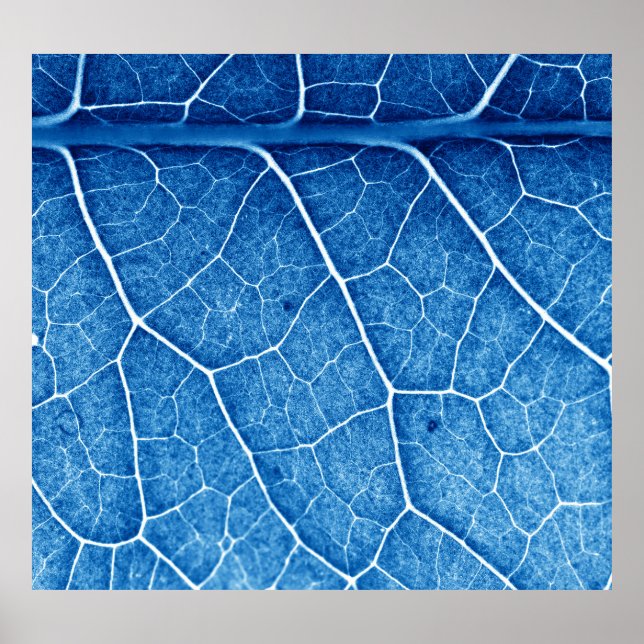 Schöne Pflanze schließen Textur Hintergrund Poster (Vorne)