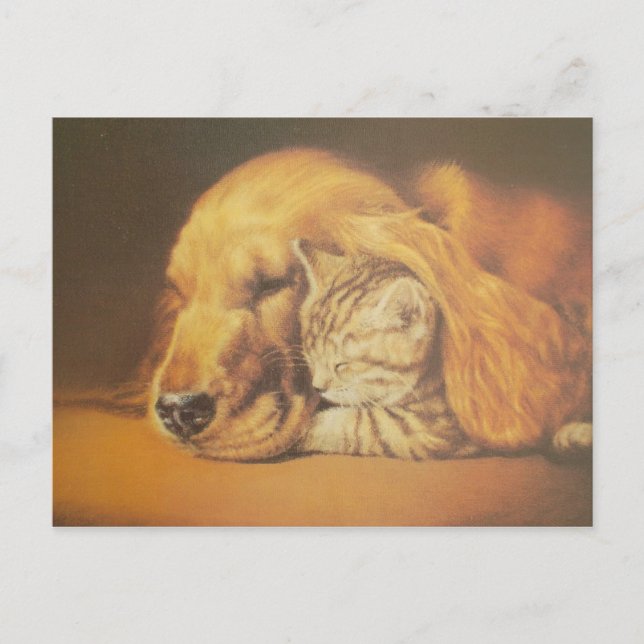 Schöne Phantastische Katze und Hund Cuddling Art P Postkarte (Vorderseite)