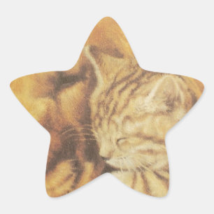 Schöne Phantastische Katze und Hund Cuddling Art P Stern-Aufkleber