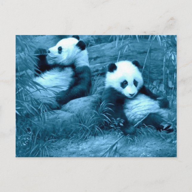 schöne phantastische Panda Postkarte (Vorderseite)