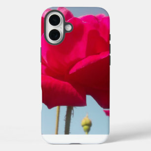 Schöne Phantastische Rose für die Braut iPhone 16 Plus Hülle