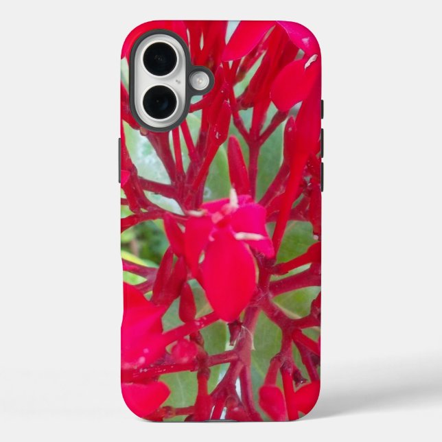 Schöne Phantastische rote Blume Case-Mate iPhone Hülle (Rückseite)