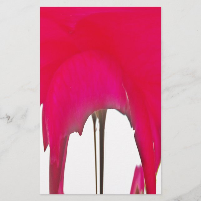 Schöne phantastische Rote Rose unter weißem Himmel Briefpapier (Vorderseite)