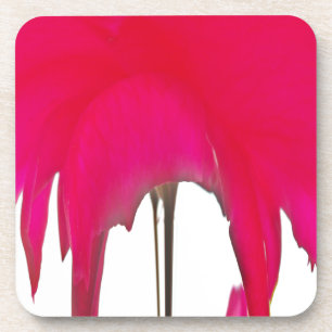 Schöne phantastische Rote Rose unter weißem Himmel Getränkeuntersetzer