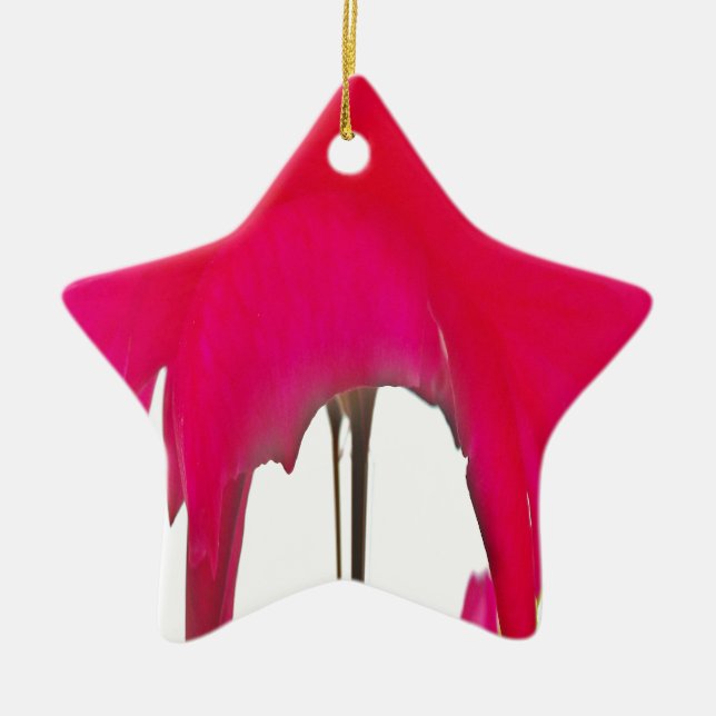 Schöne phantastische Rote Rose unter weißem Himmel Keramik Ornament (Vorne)