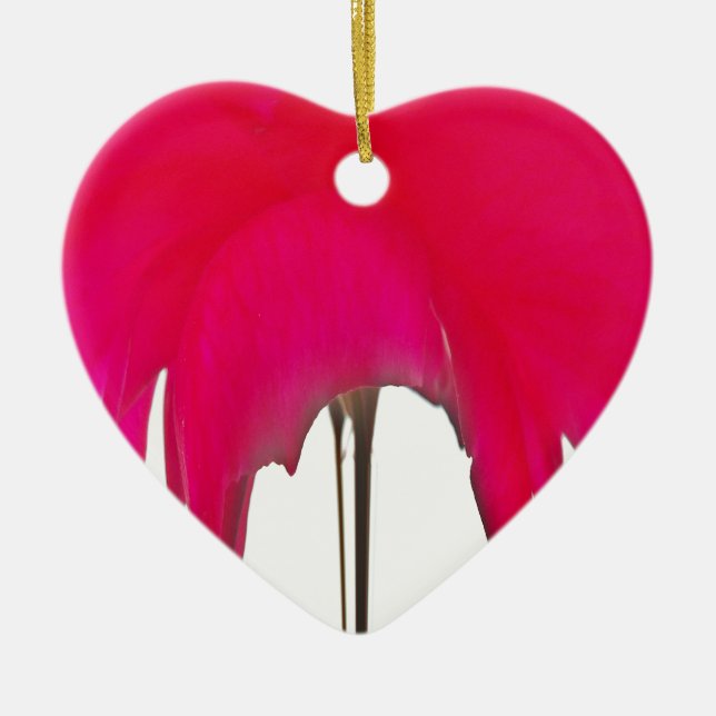 Schöne phantastische Rote Rose unter weißem Himmel Keramikornament (Vorne)