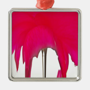 Schöne phantastische Rote Rose unter weißem Himmel Silbernes Ornament